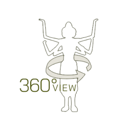 360°view